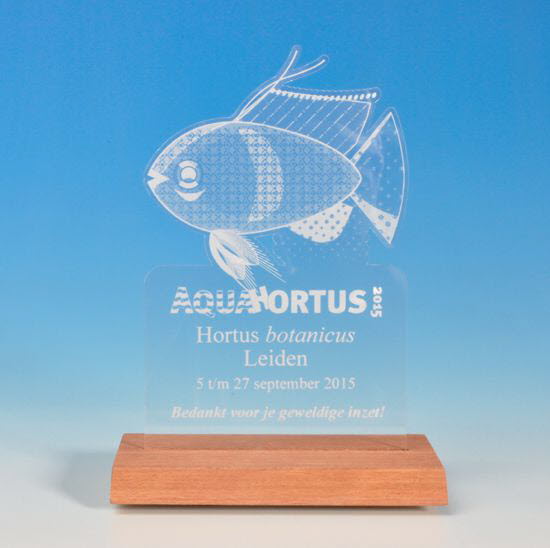 AquahortisVis